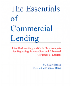 The Essentials of Commercial Lending (PDF)